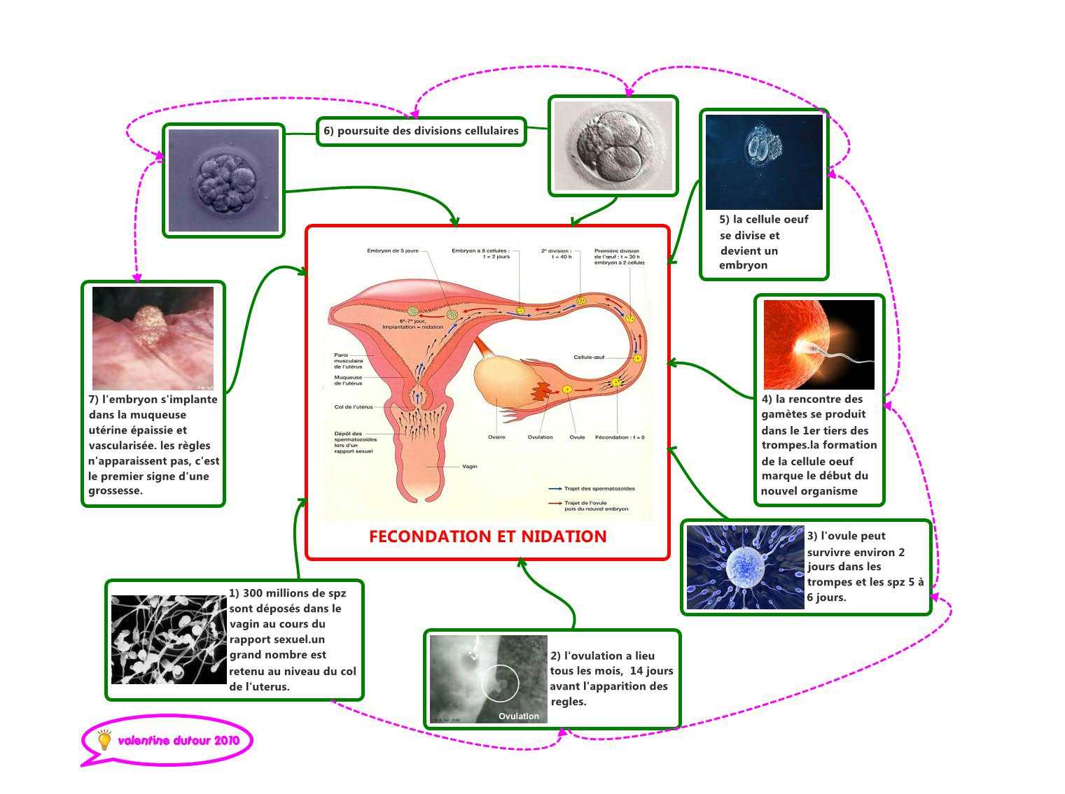 Thumbnail of mind map