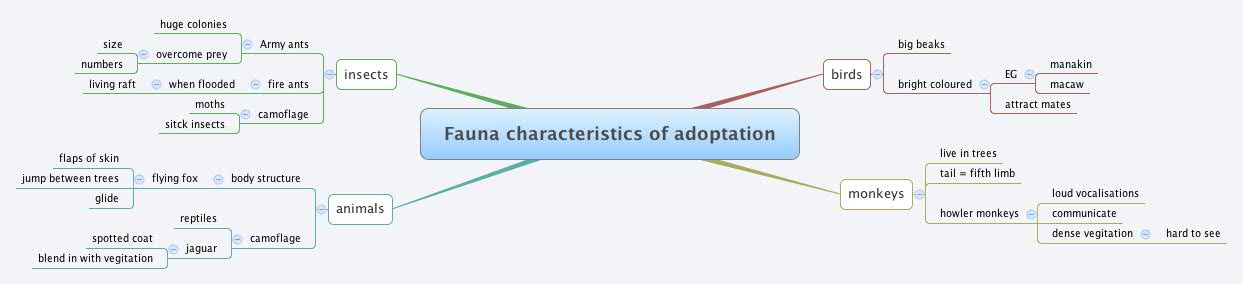 Thumbnail of mind map