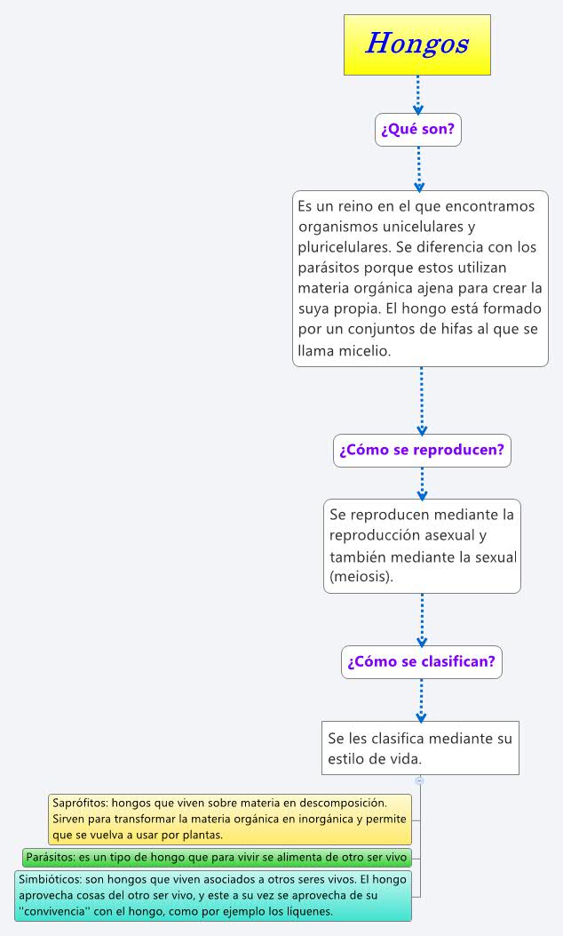 Thumbnail of mind map