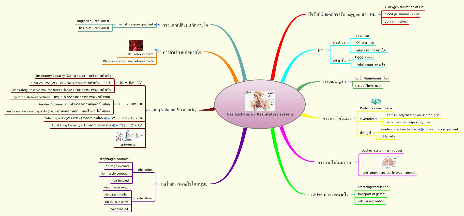 Thumbnail of mind map