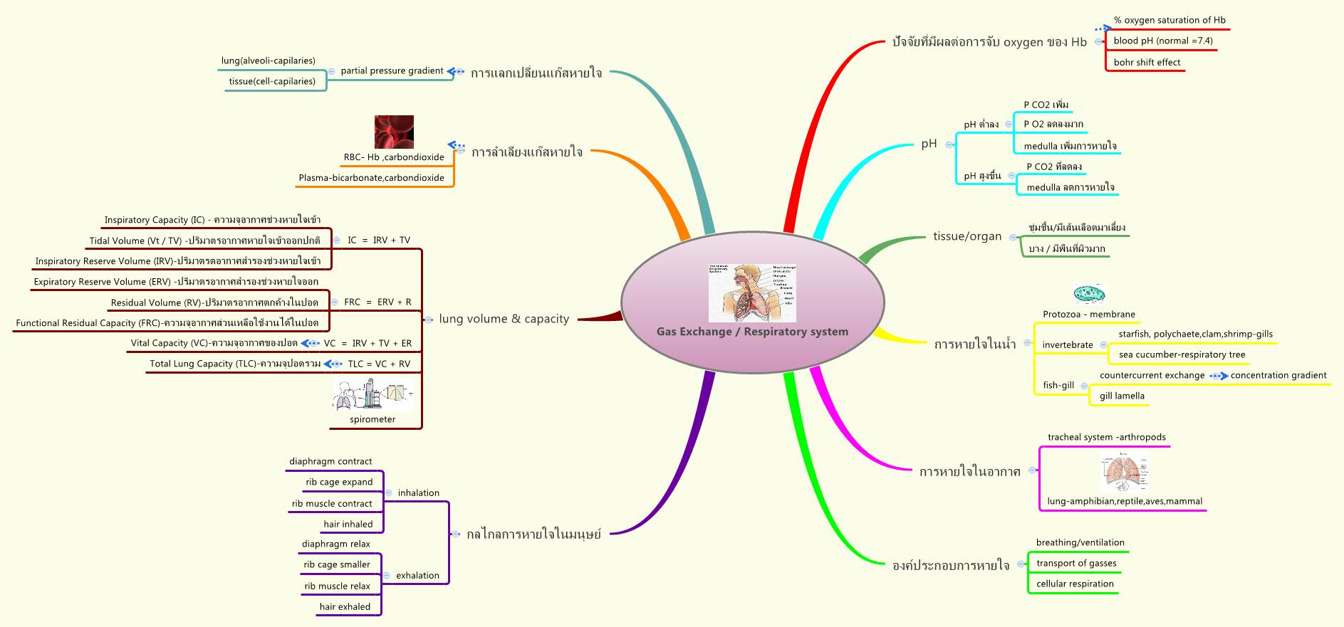 Thumbnail of mind map
