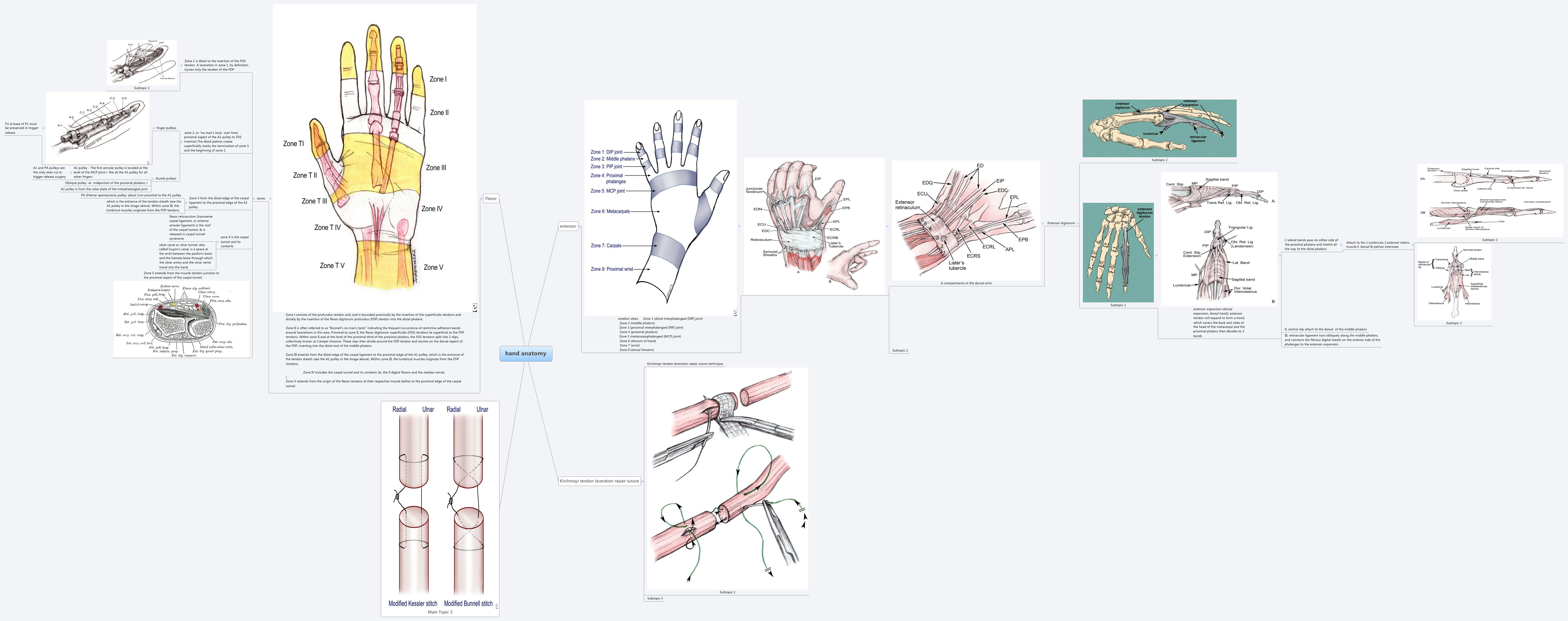 Xmind Share - Xmind - Mind Mapping App