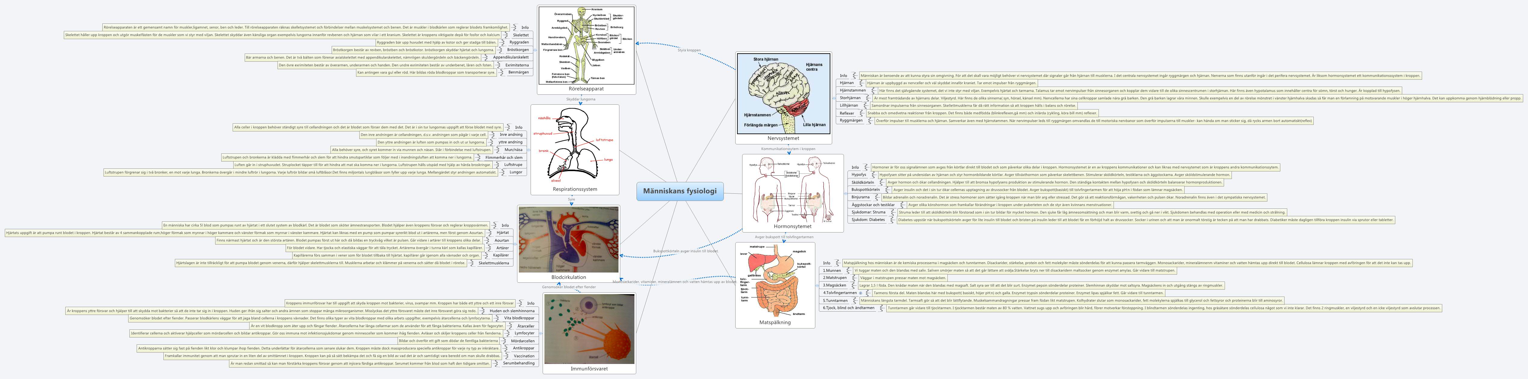 Människans fysiologi