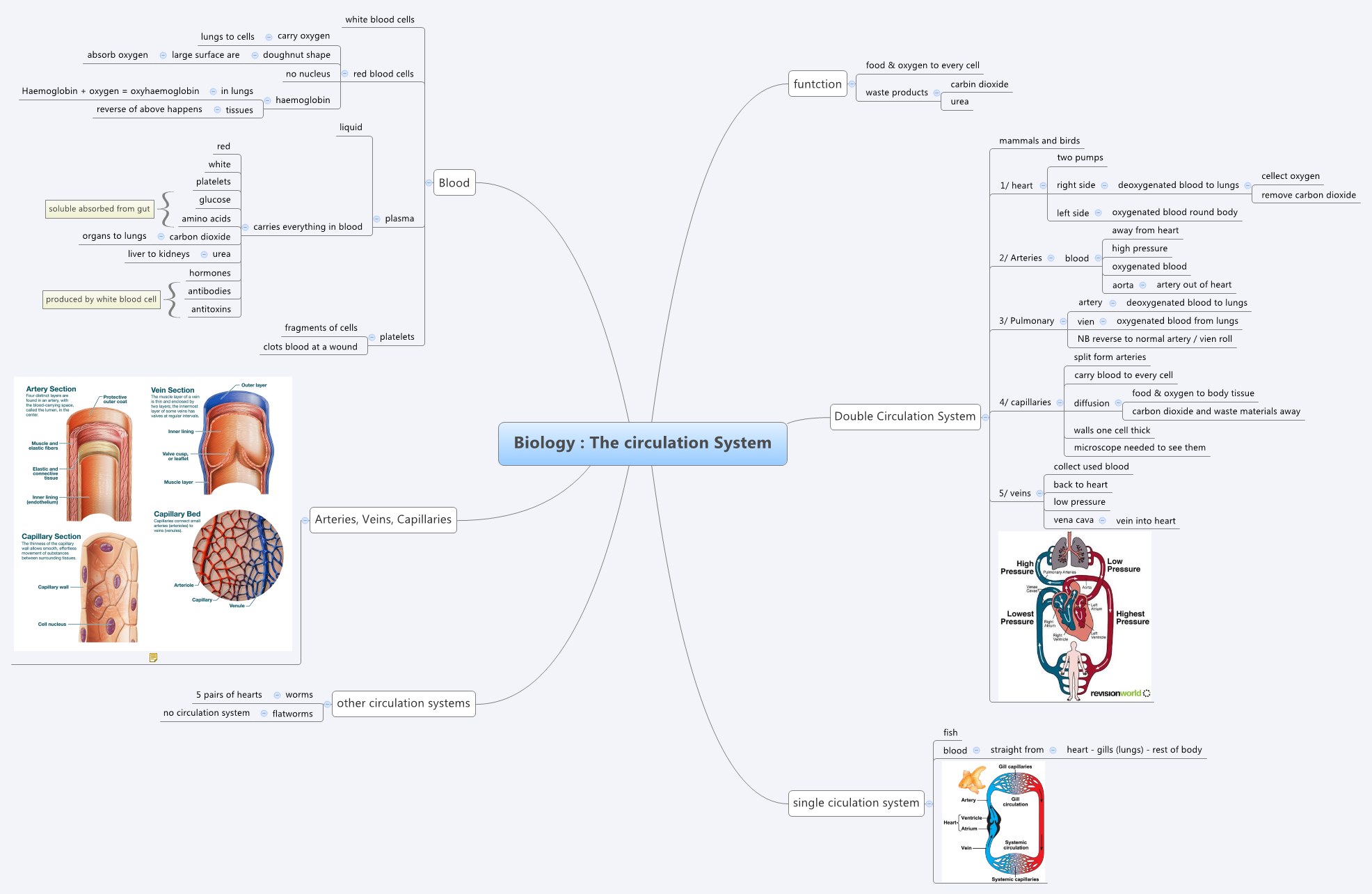 Thumbnail of mind map
