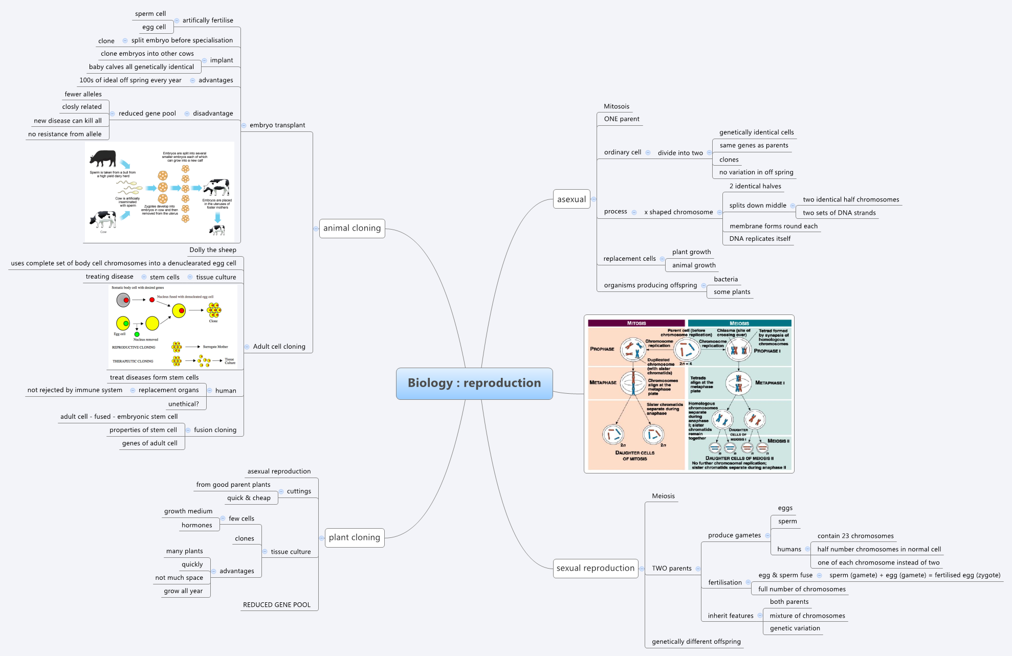 Thumbnail of mind map