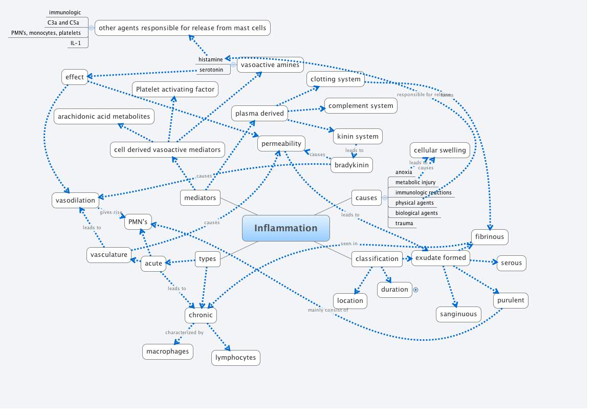 Thumbnail of mind map