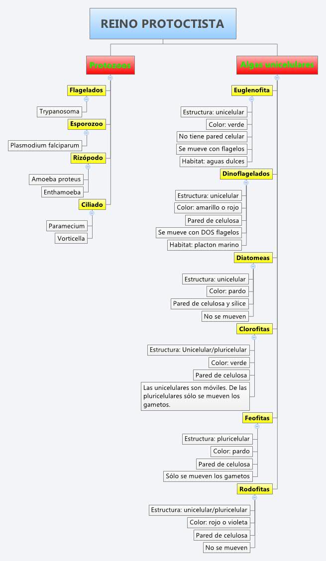 Thumbnail of mind map