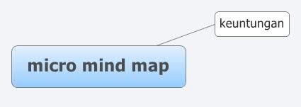 micro mind map Xmind Mind Mapping - Micro Mind Map Xqeew 1325854444029