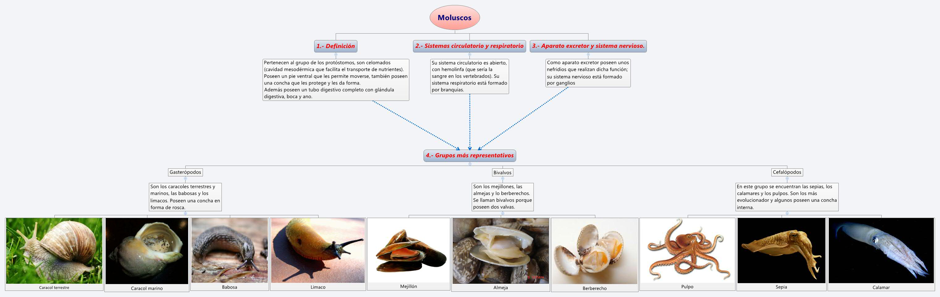 Thumbnail of mind map