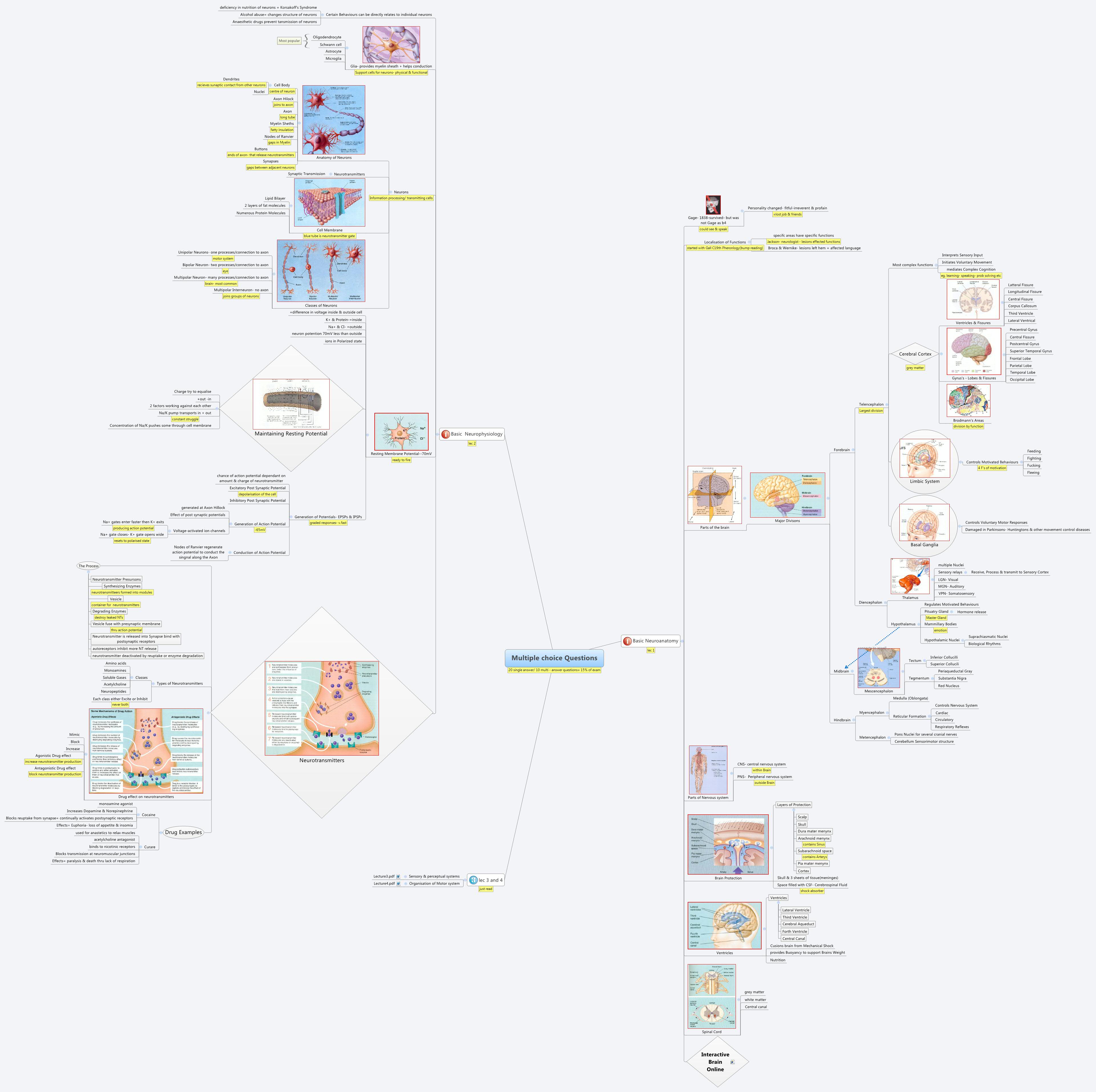 Thumbnail of mind map
