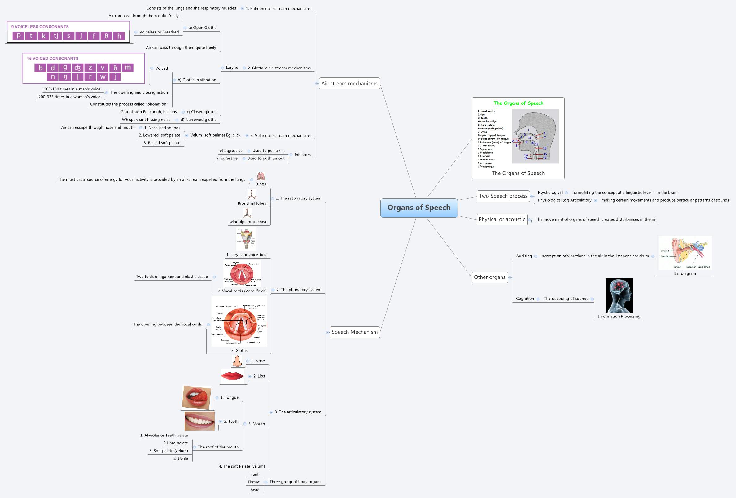Thumbnail of mind map