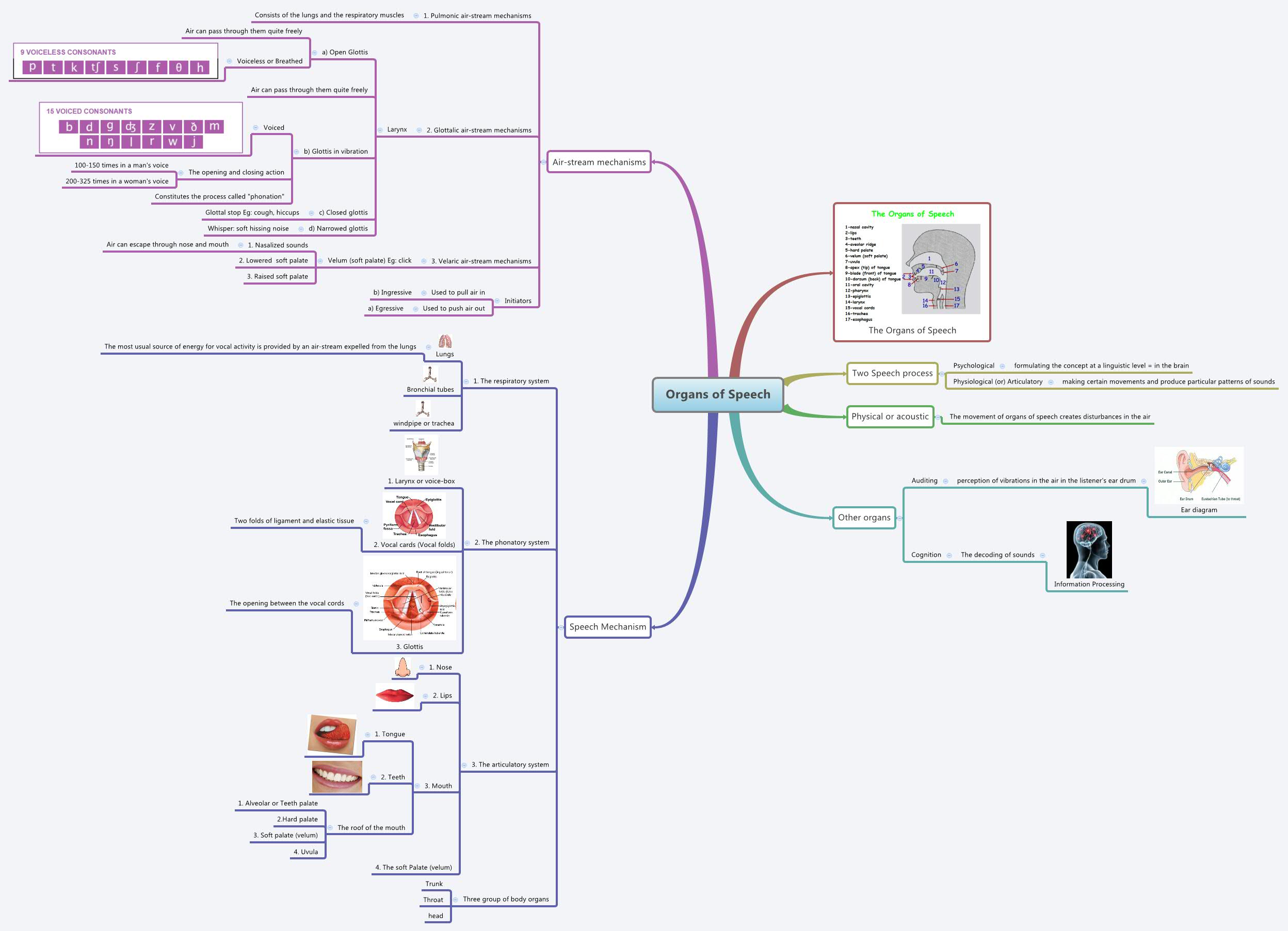Thumbnail of mind map