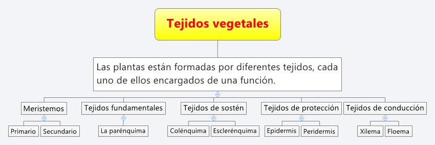 Thumbnail of mind map