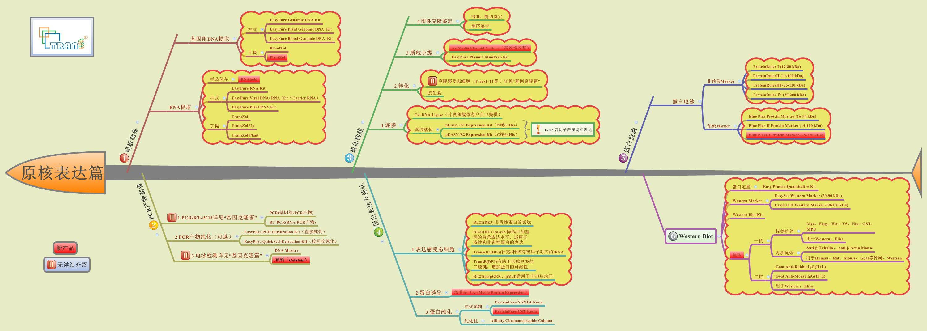 Thumbnail of mind map