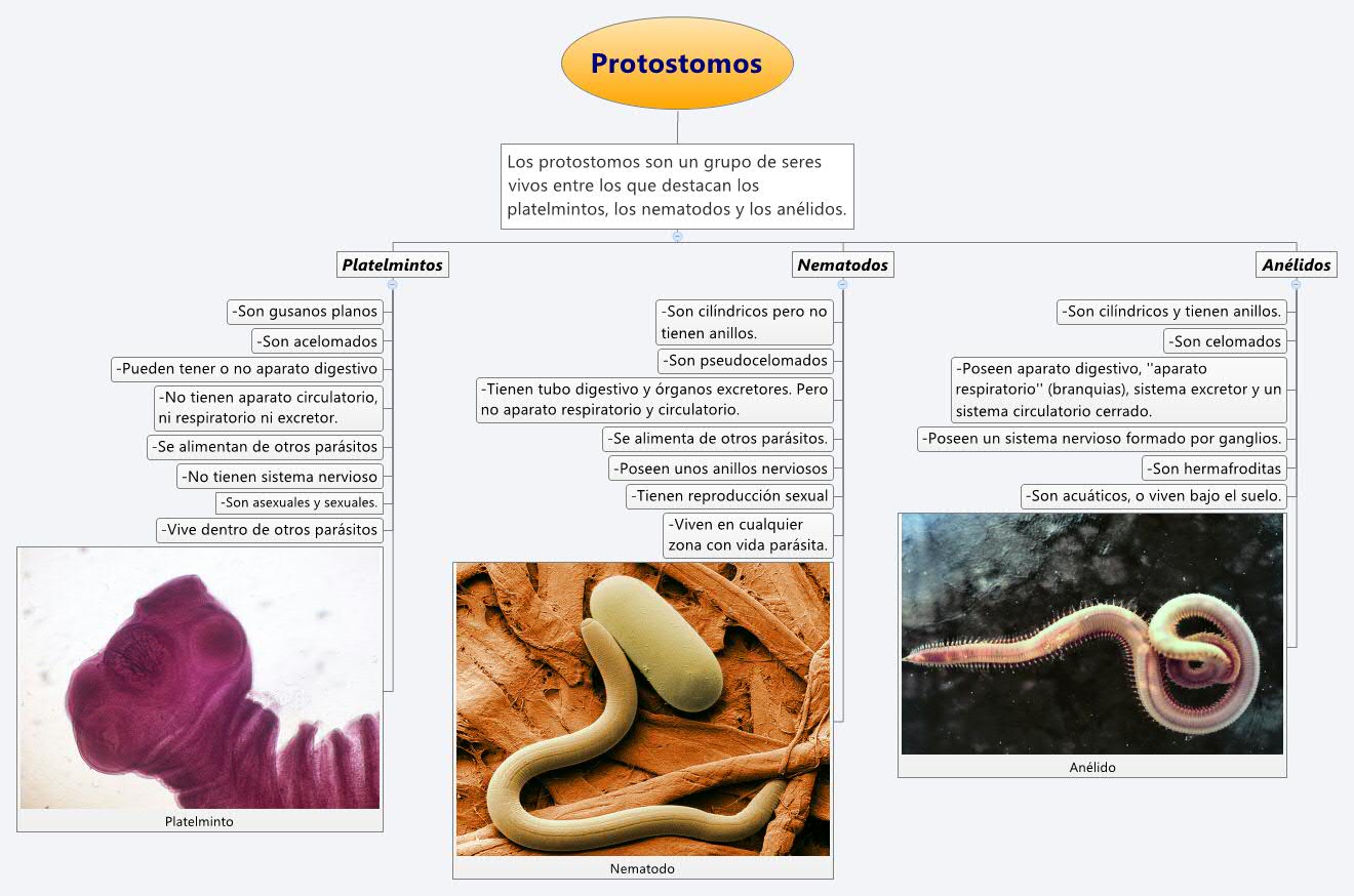 Thumbnail of mind map