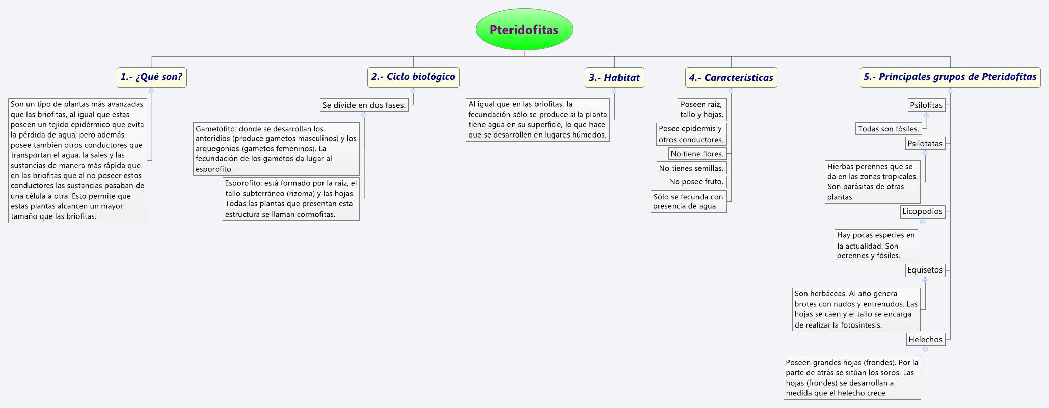 Thumbnail of mind map