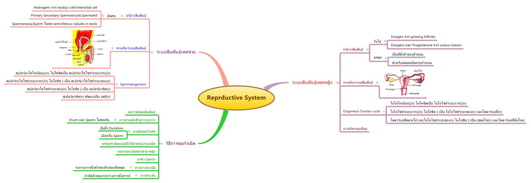 Thumbnail of mind map