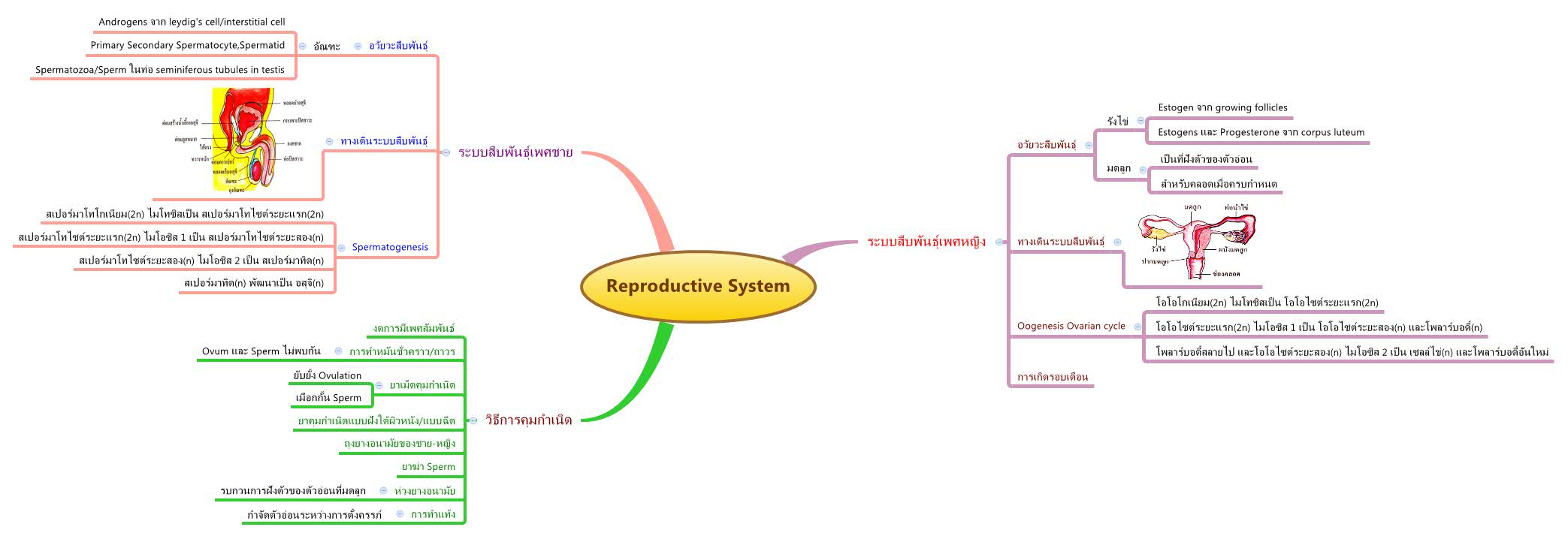 Thumbnail of mind map