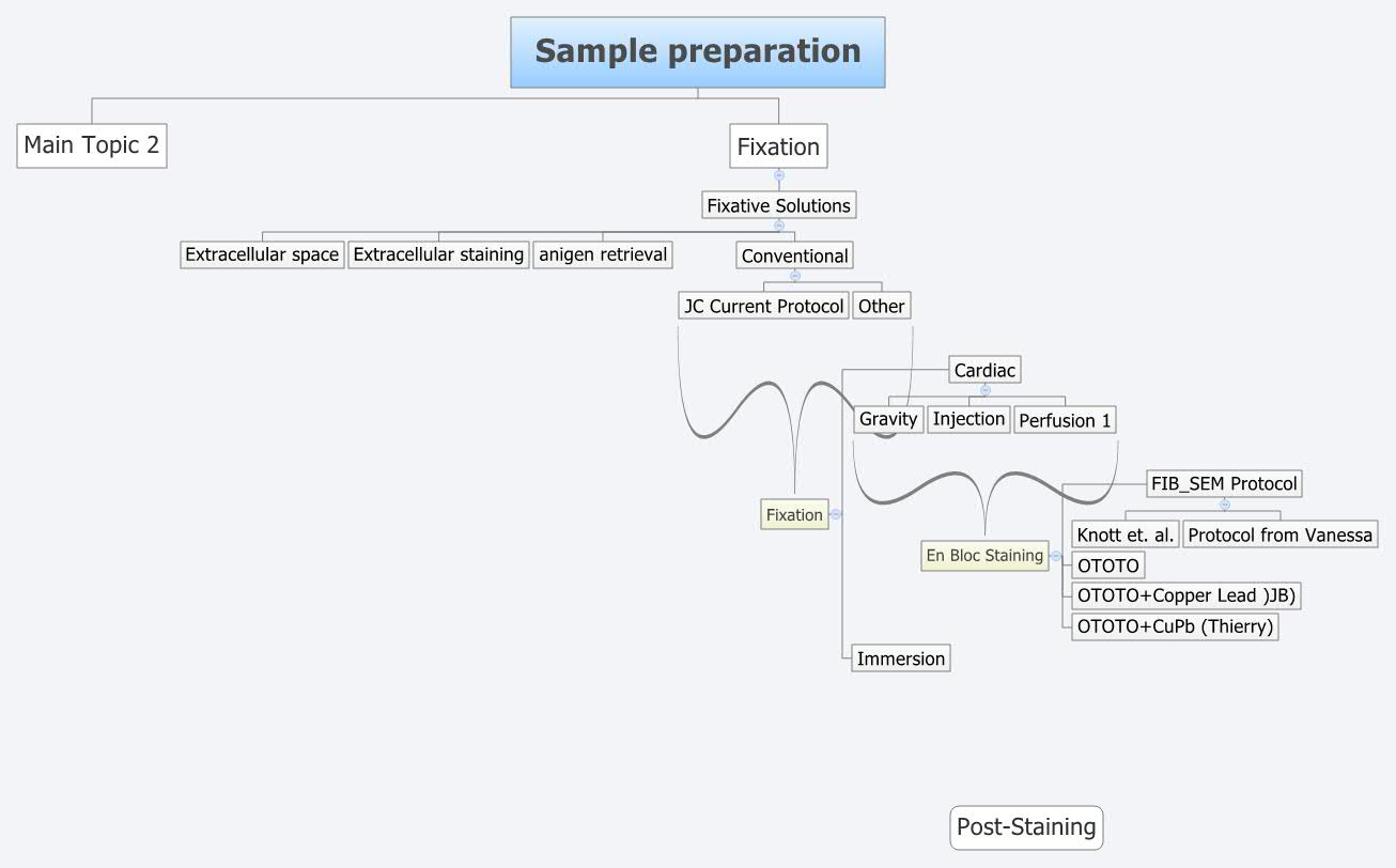 Thumbnail of mind map