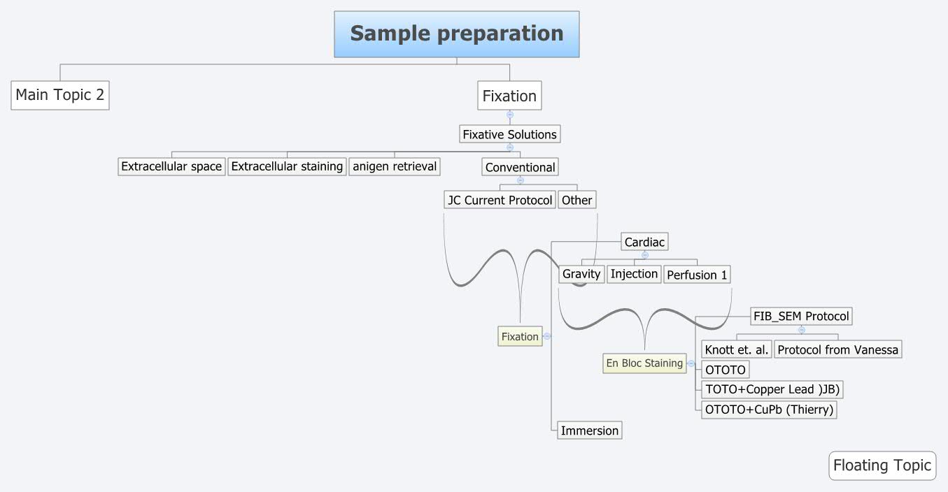 Thumbnail of mind map