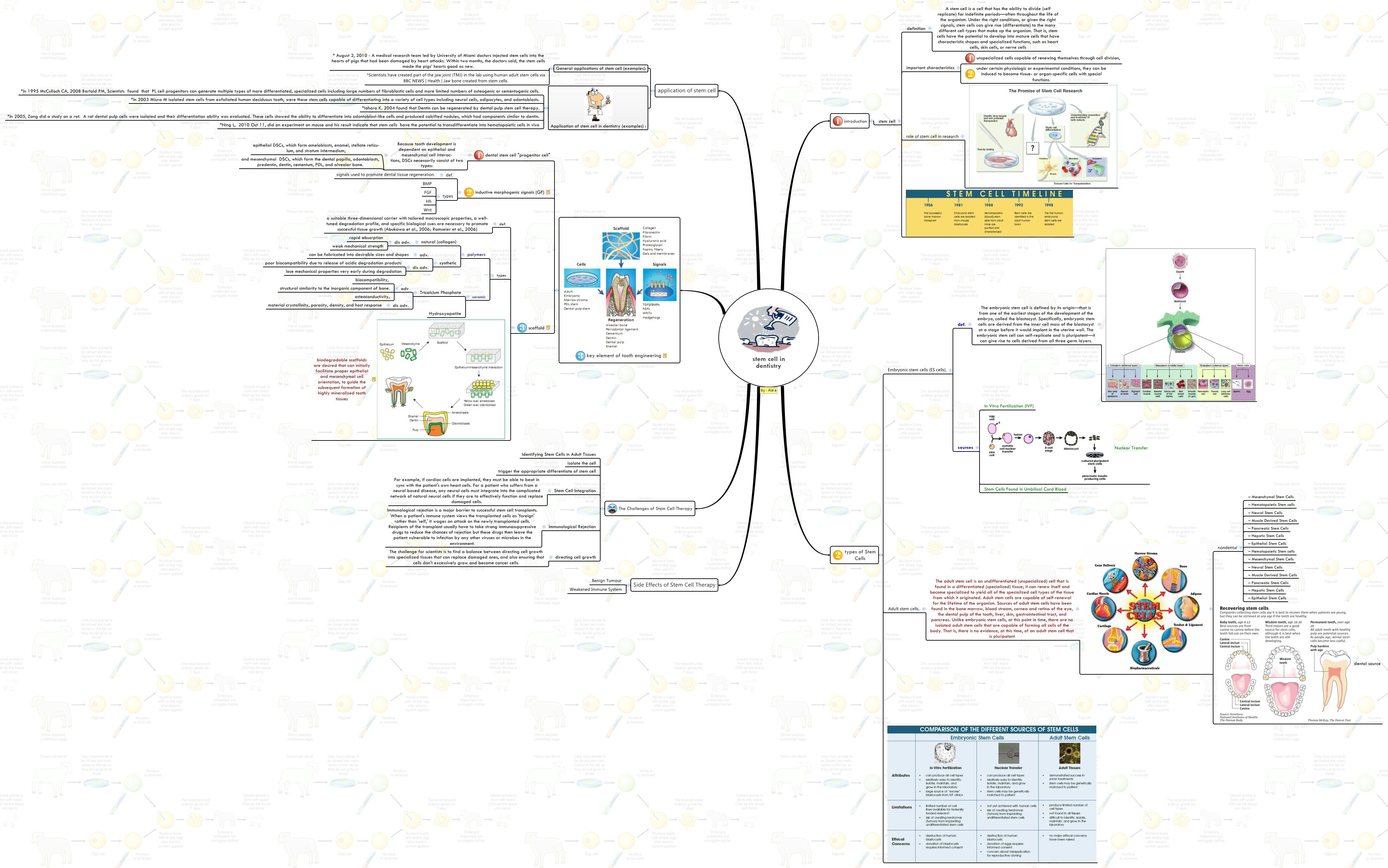 Thumbnail of mind map