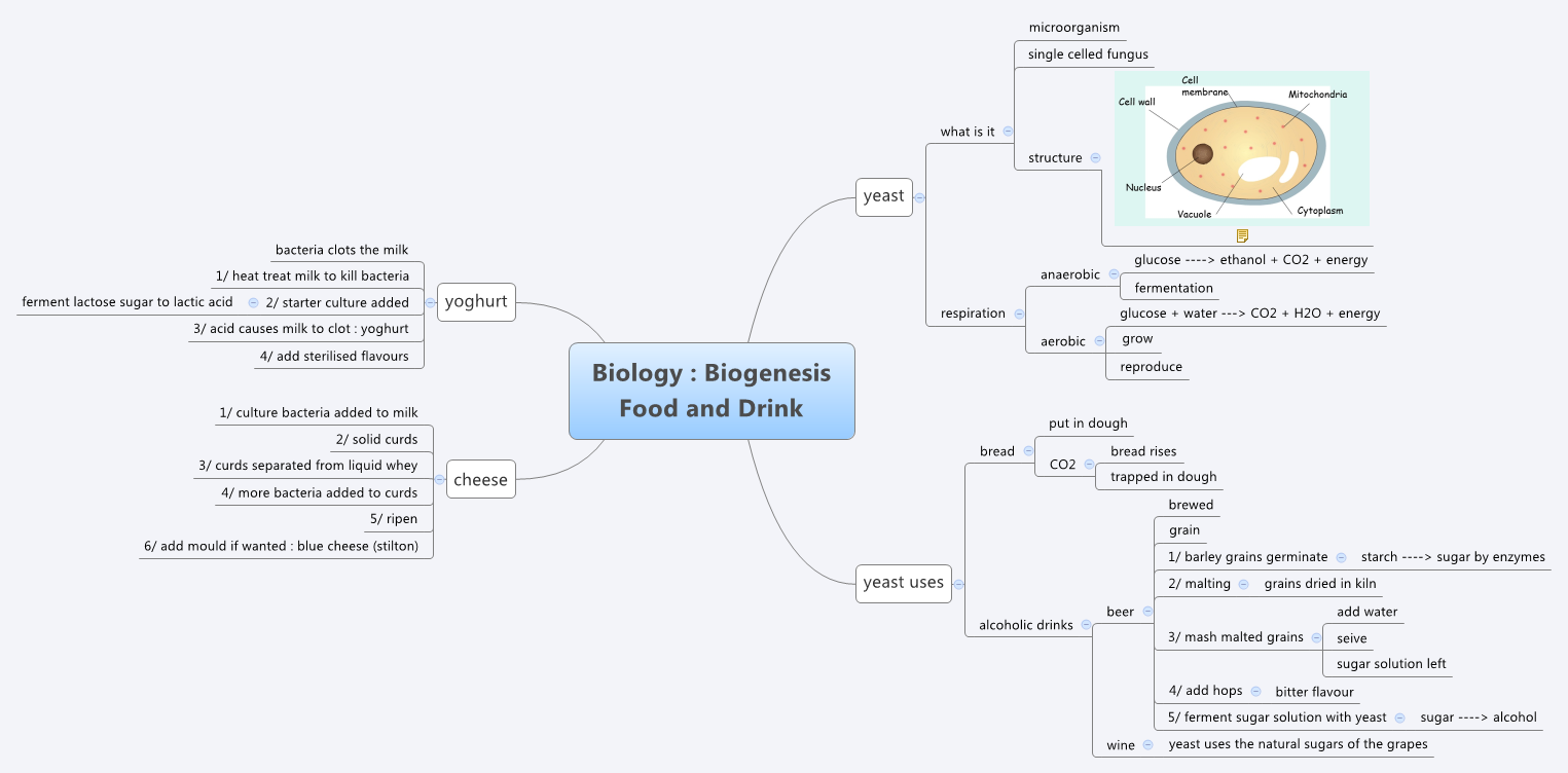 Thumbnail of mind map