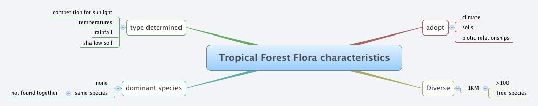 Thumbnail of mind map