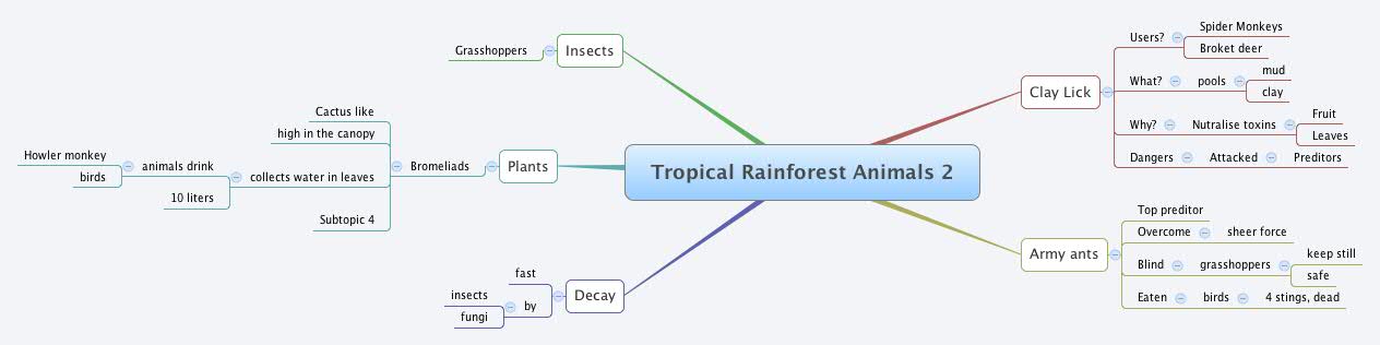 Tropical Rainforest Animals 2 | cianmm - Xmind