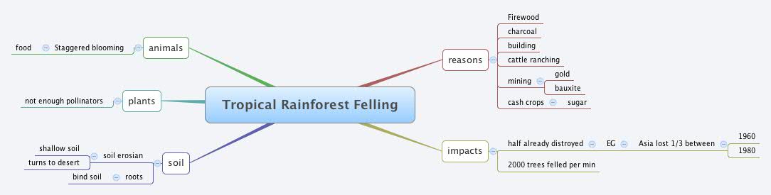 Thumbnail of mind map