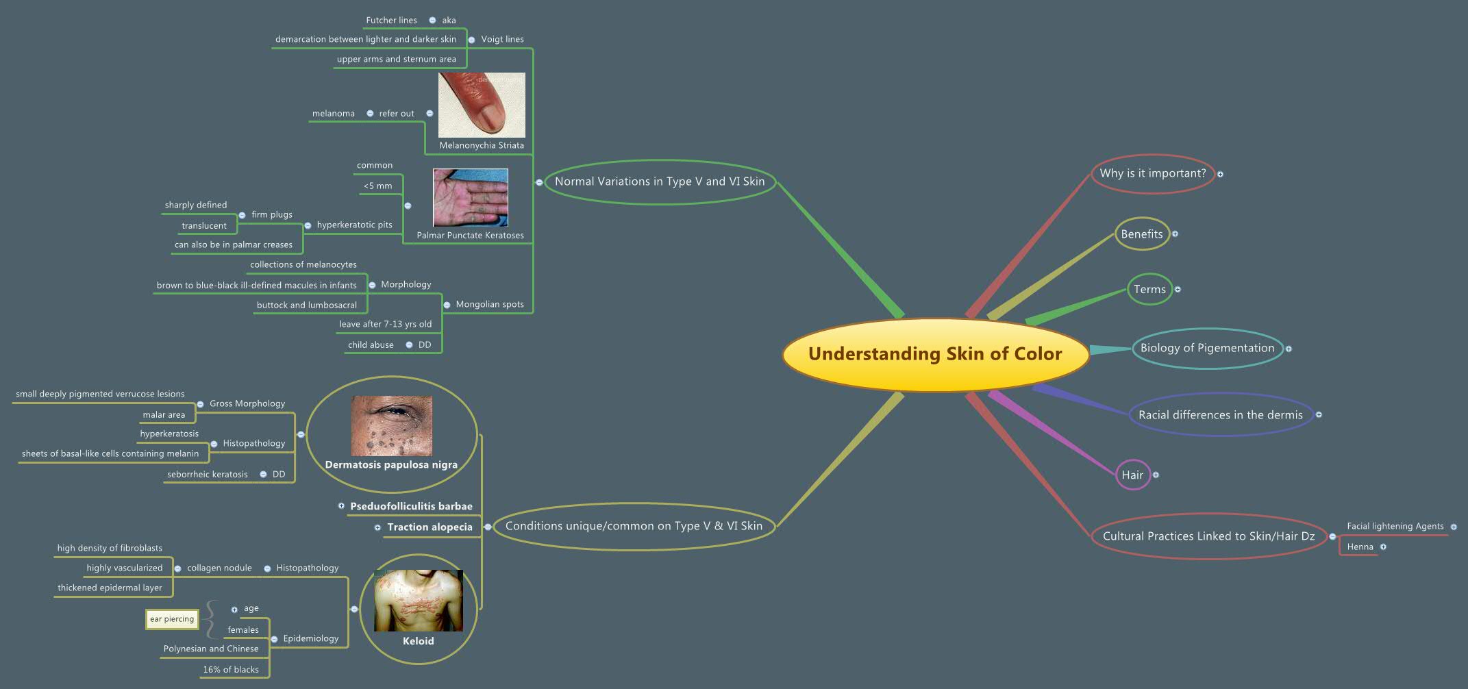 Thumbnail of mind map