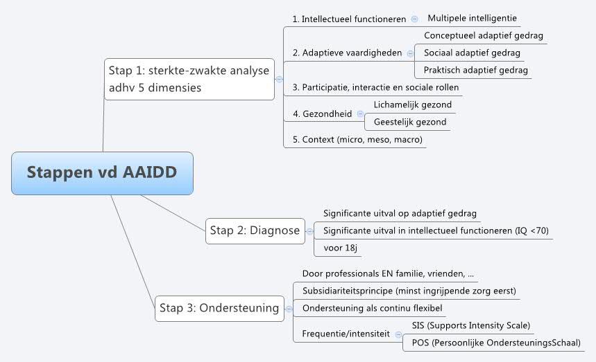 Stappen vd AAIDD - Xmind - Mind Mapping App