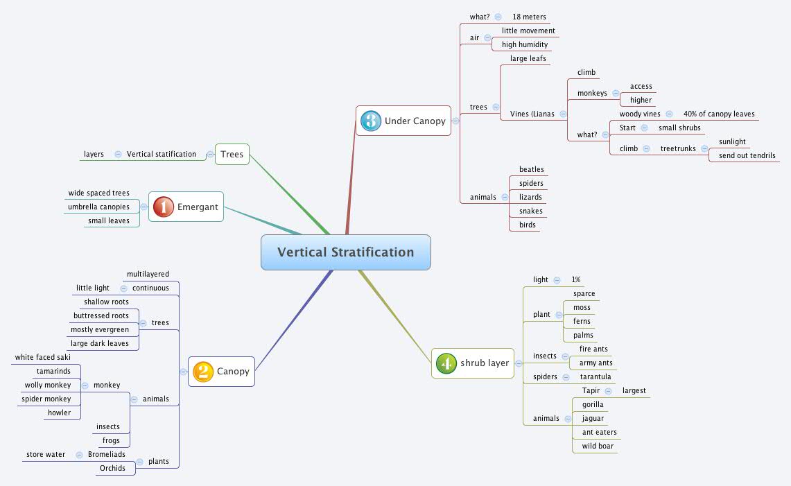 Thumbnail of mind map