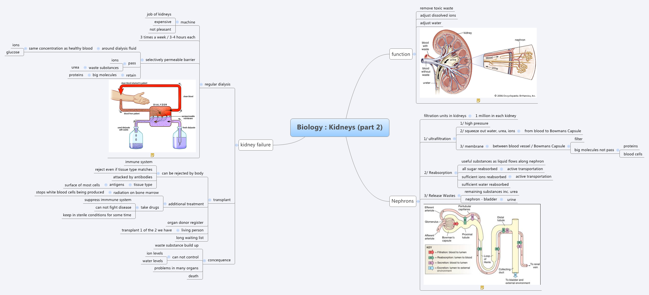 Thumbnail of mind map