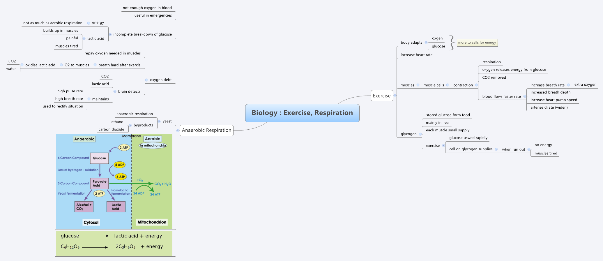 Thumbnail of mind map