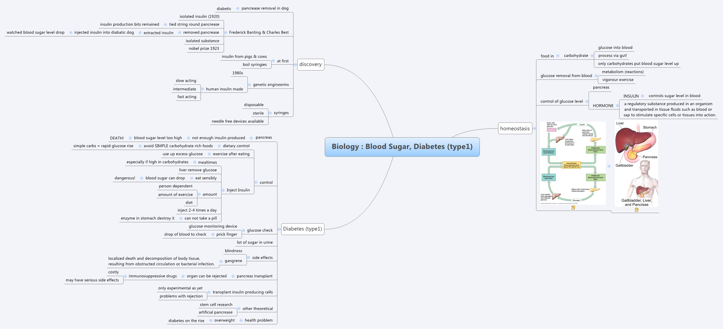 Thumbnail of mind map