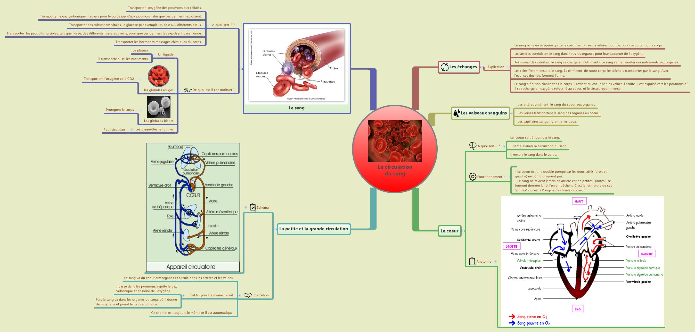 Thumbnail of mind map