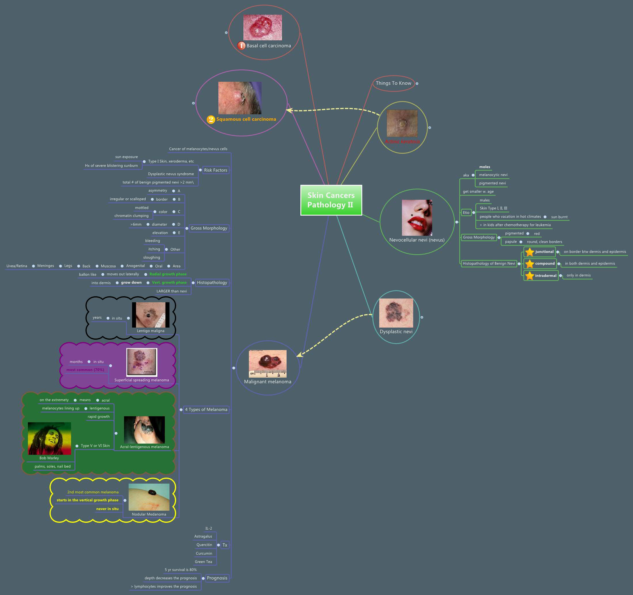 Thumbnail of mind map