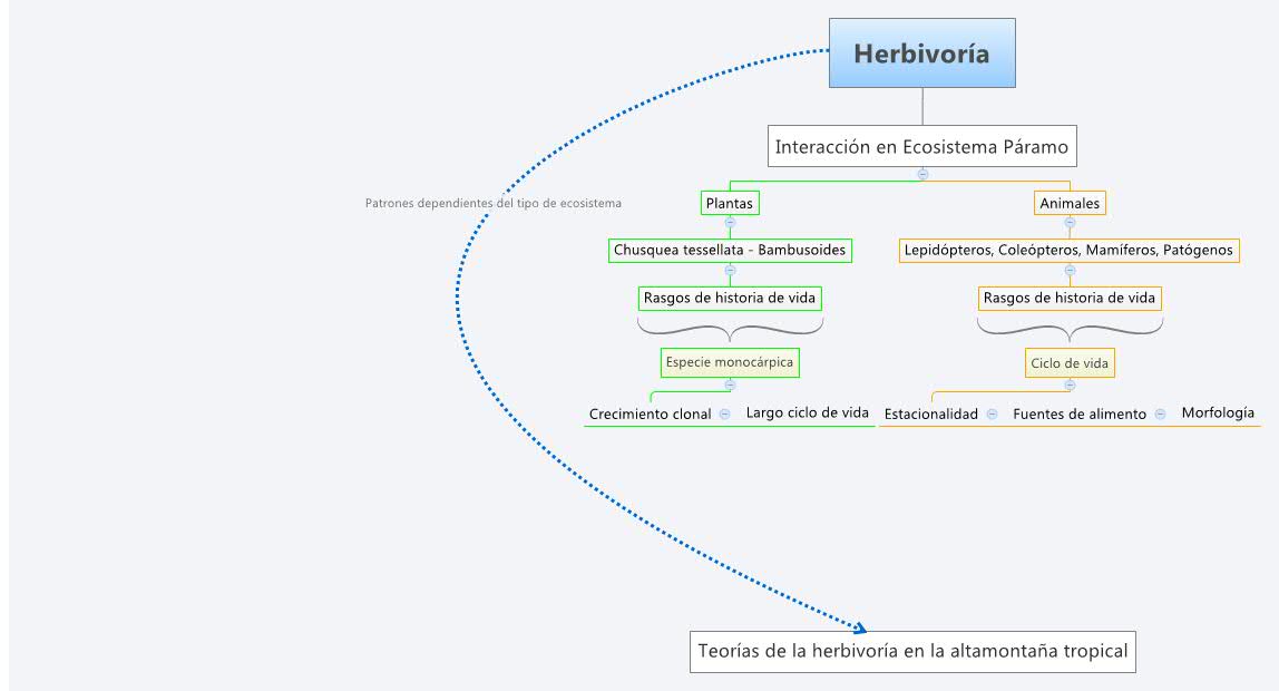 Thumbnail of mind map