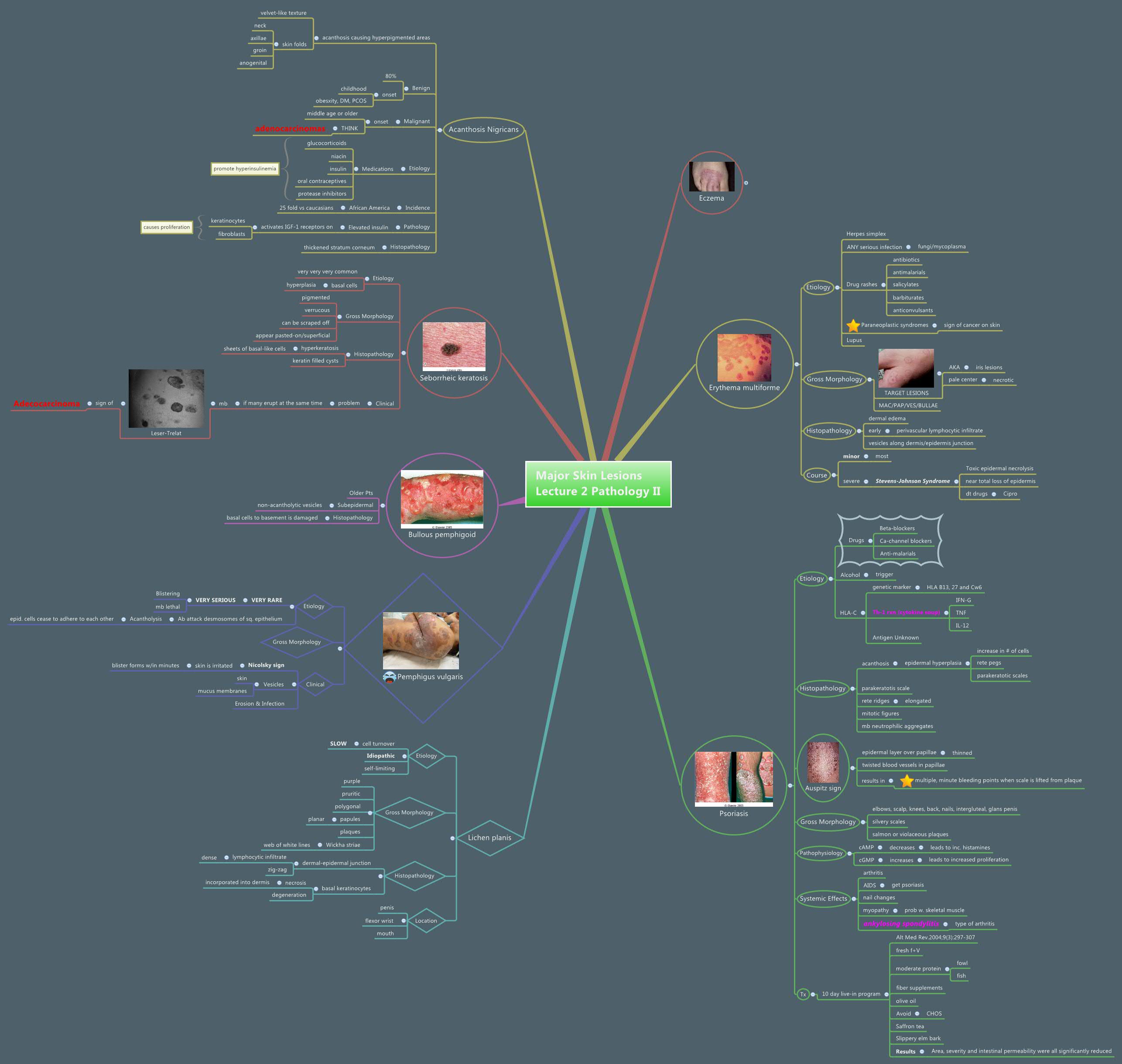 Thumbnail of mind map