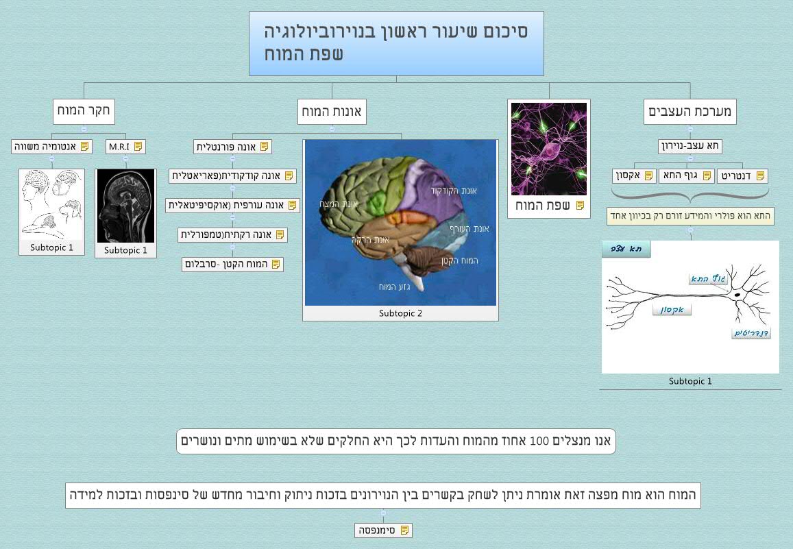 סיכום שיעור ראשון בנוירוביולוגיה
                שפת המוח