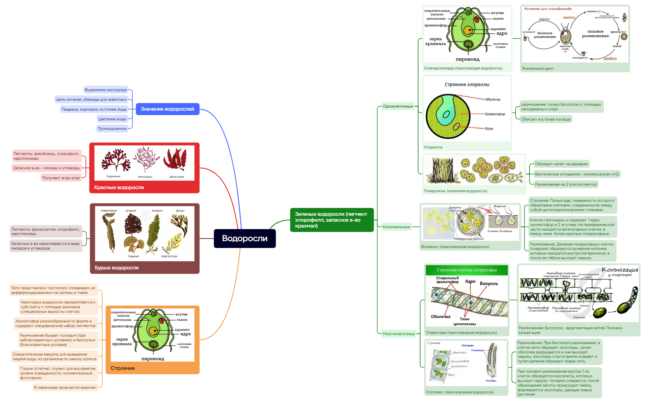 Ментальная карта
