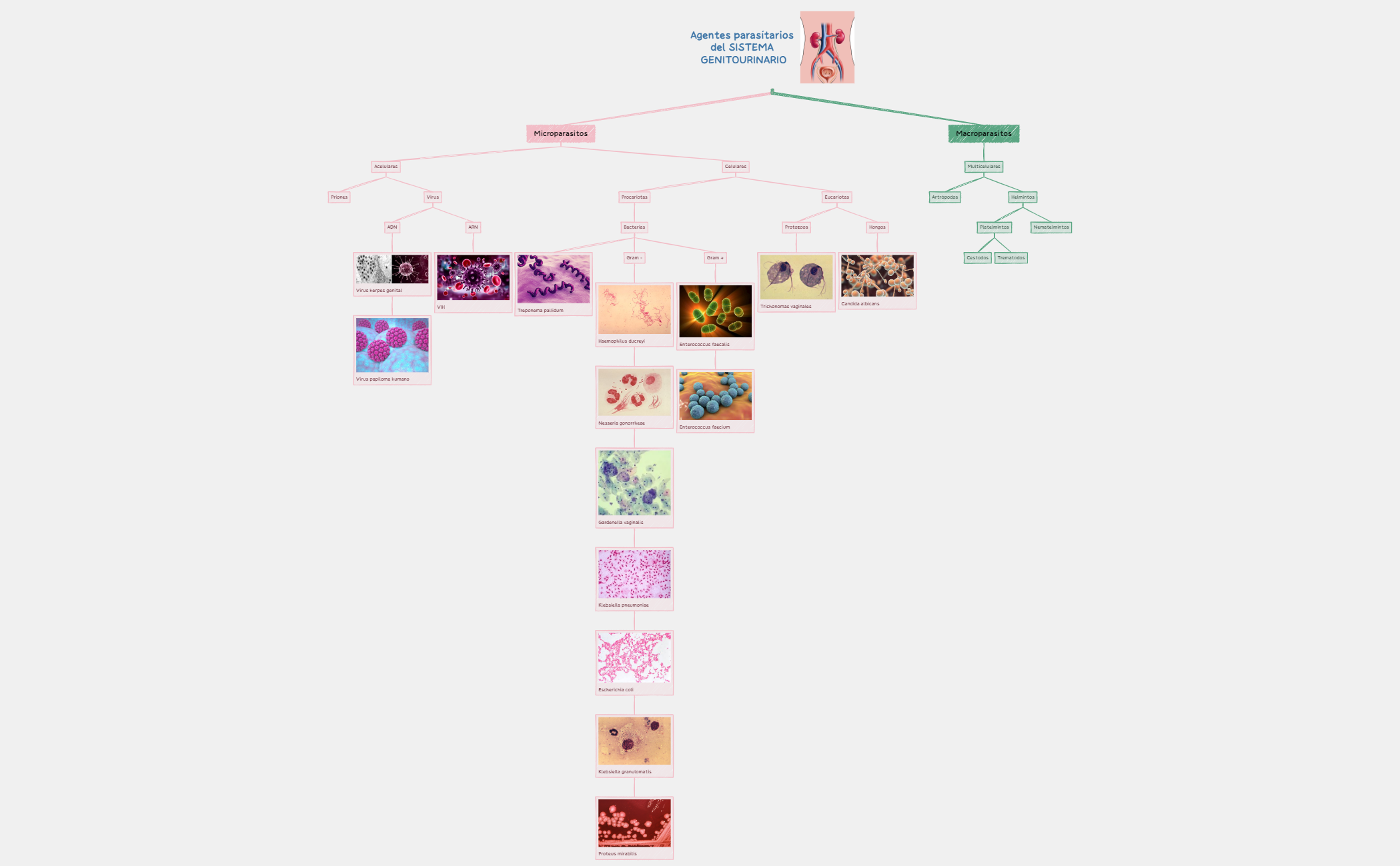 Thumbnail of mind map
