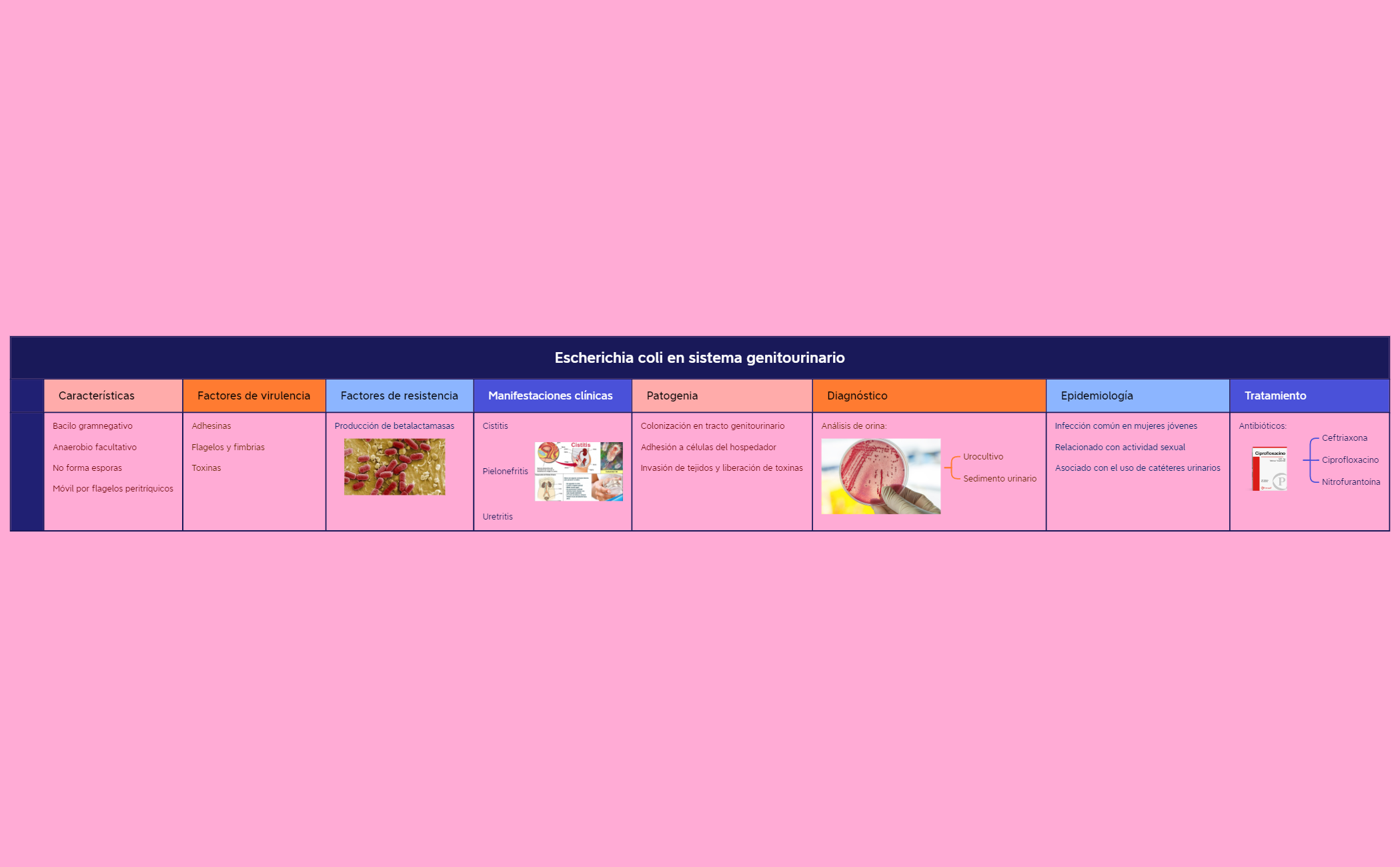 Thumbnail of mind map