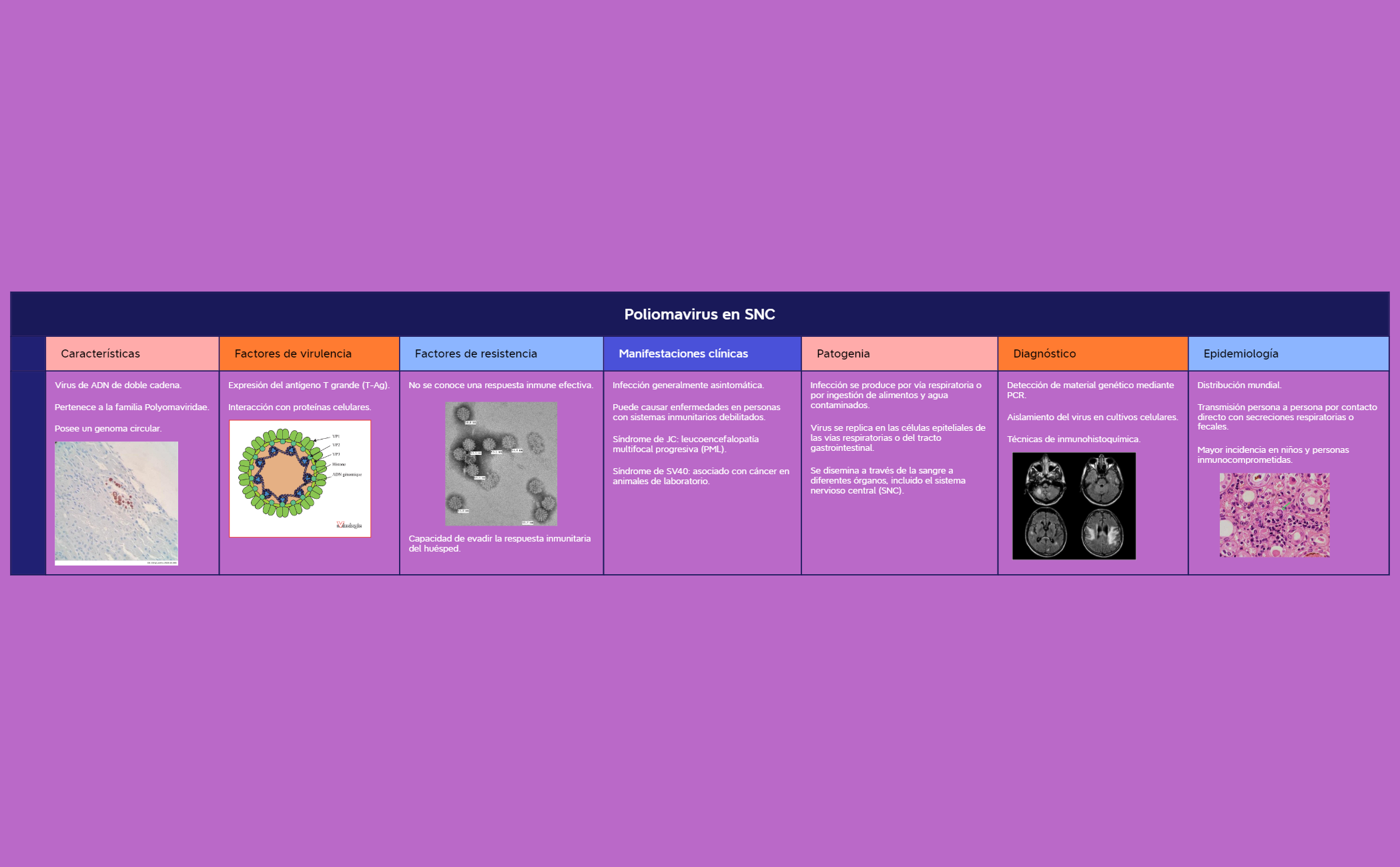 Thumbnail of mind map