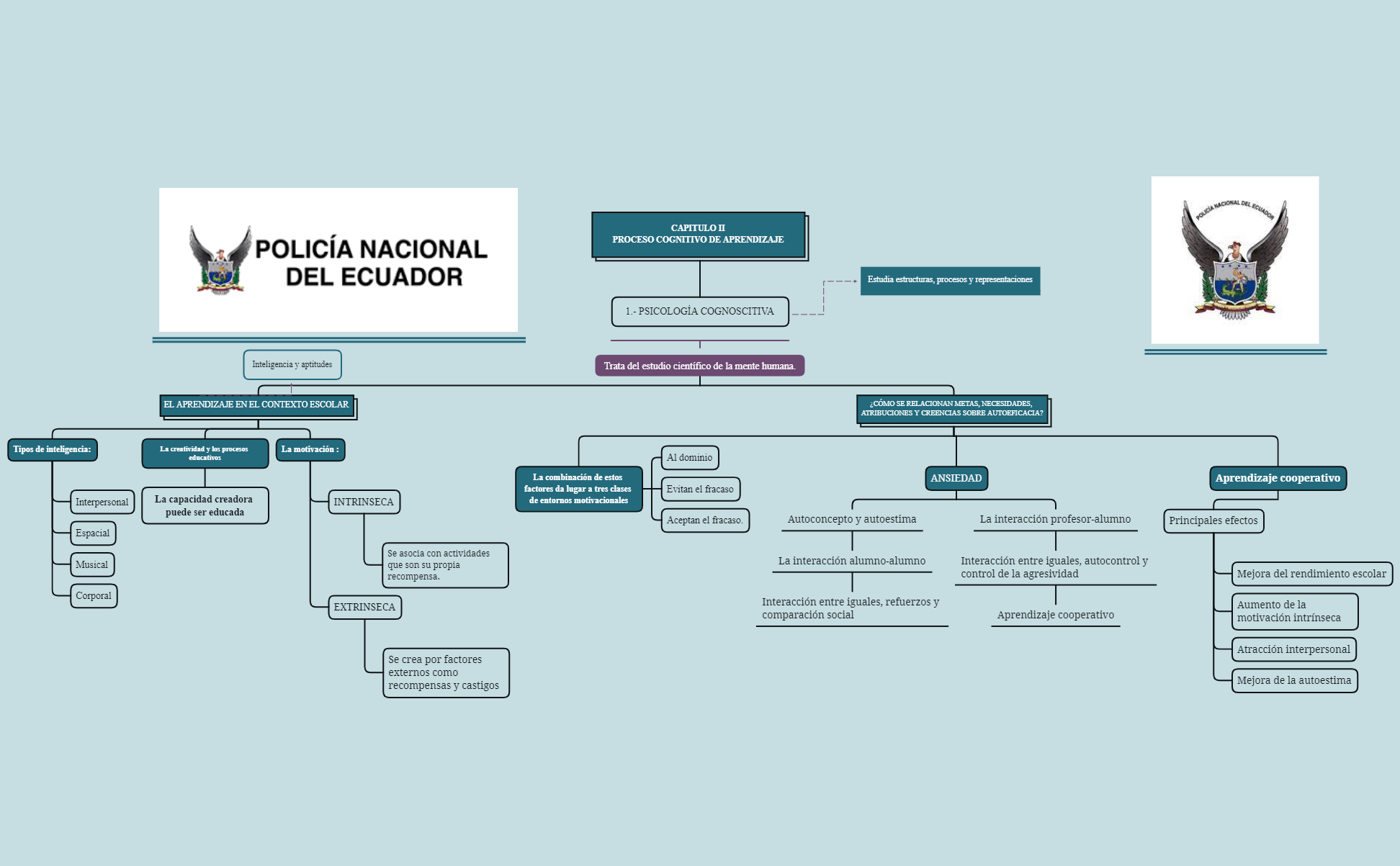 CAPITULO II PROCESO COGNITIVO DE APRENDIZAJE