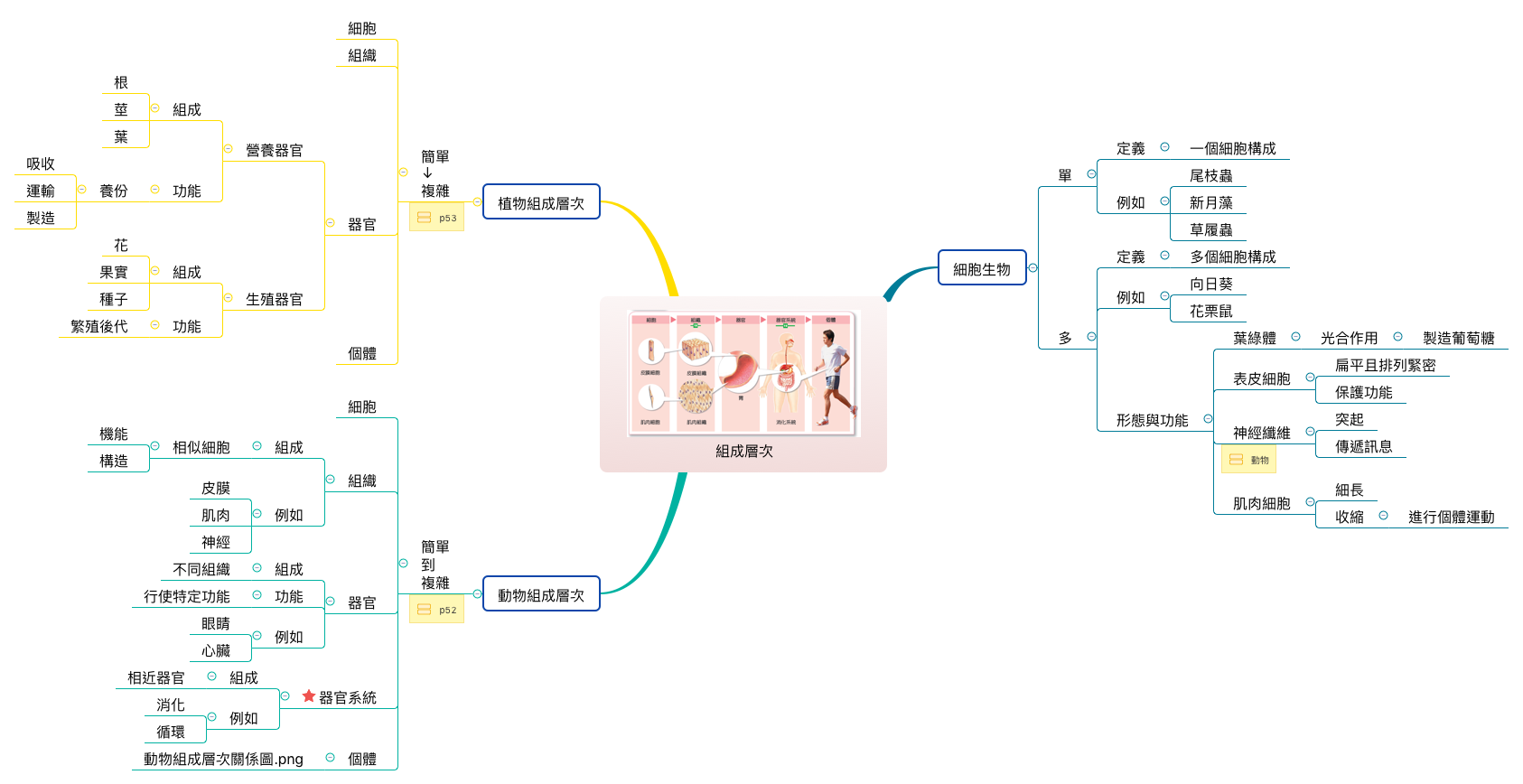 Thumbnail of mind map