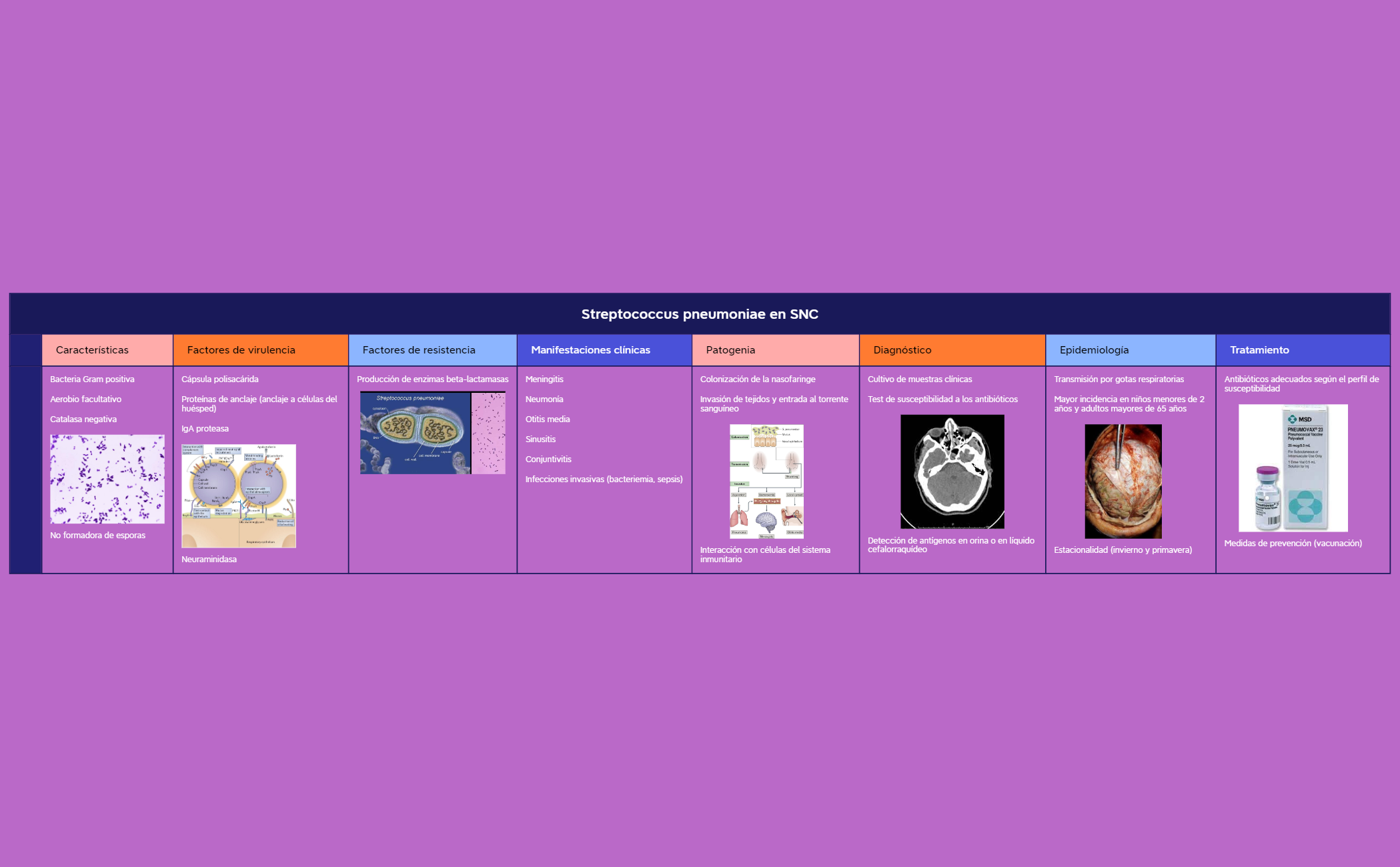 Thumbnail of mind map