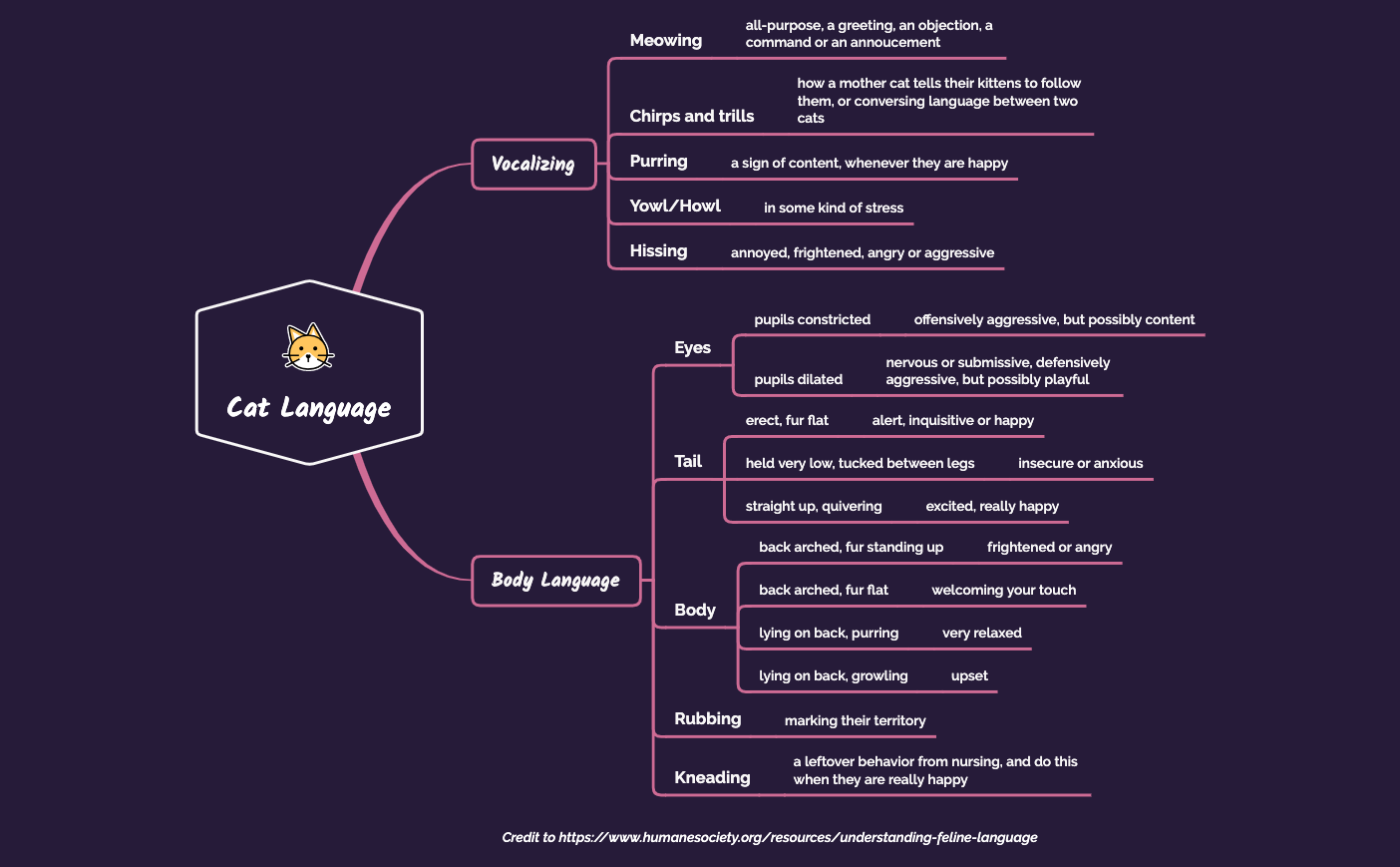 Thumbnail of mind map