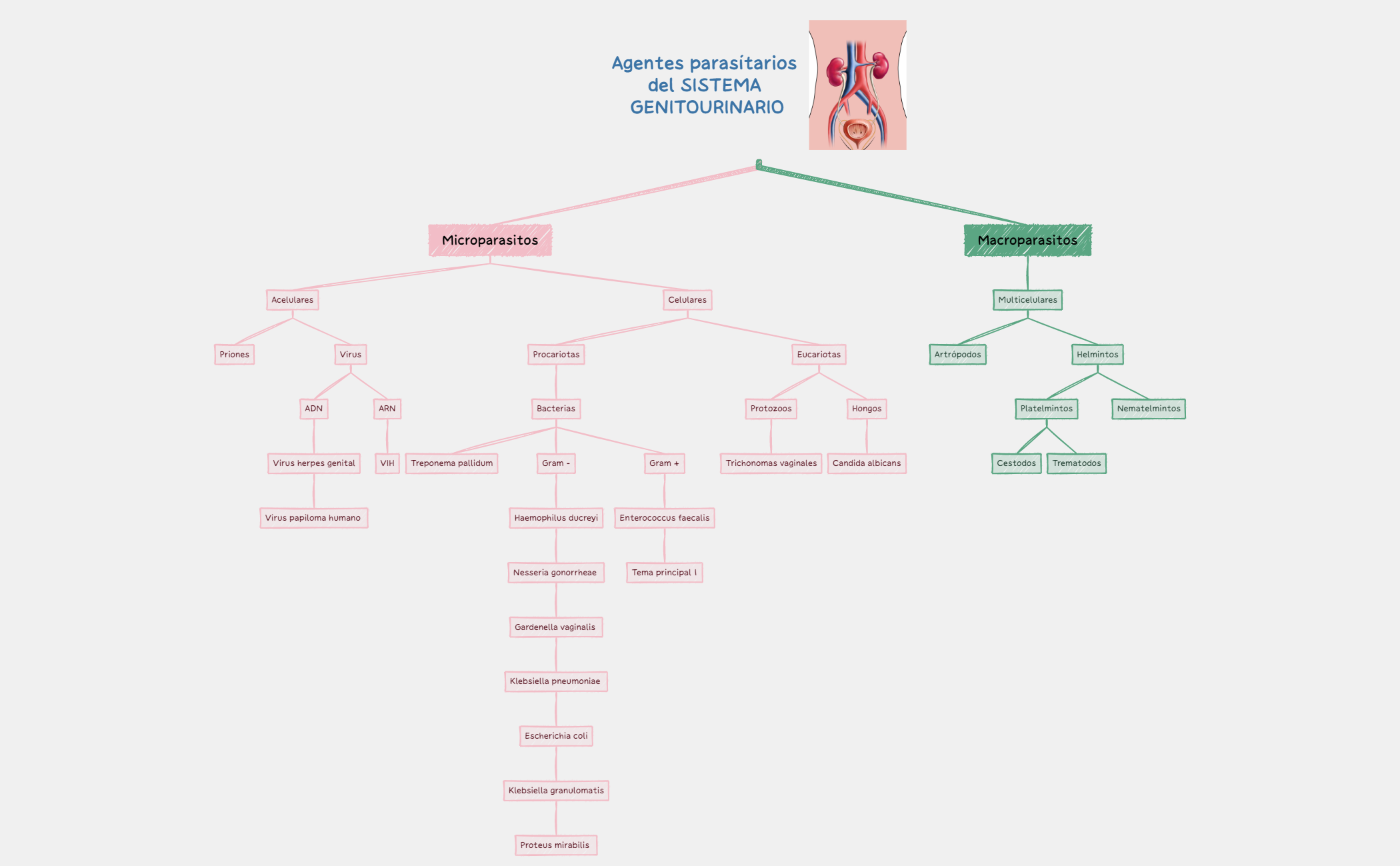 Thumbnail of mind map