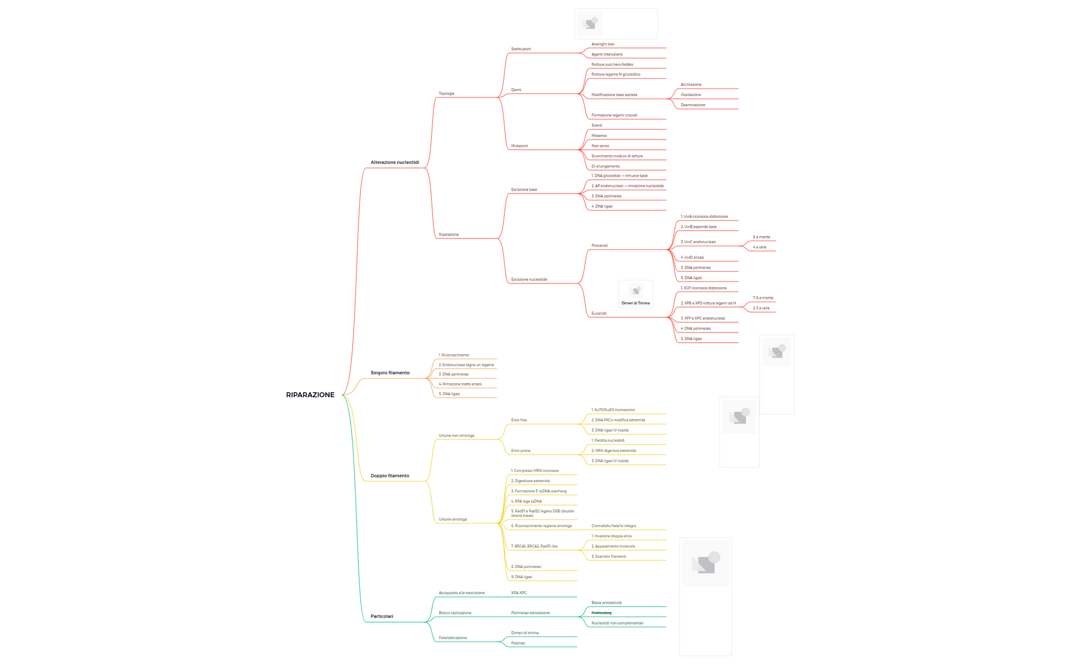 Thumbnail of mind map